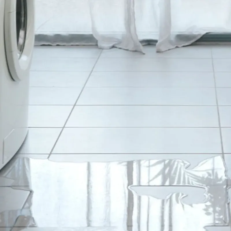 Appliance Leak Cleanup in Edgefield County, SC