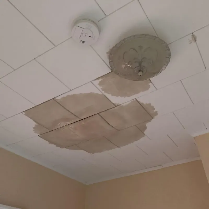 Ceiling Water Damage Repair in Edgefield County, SC