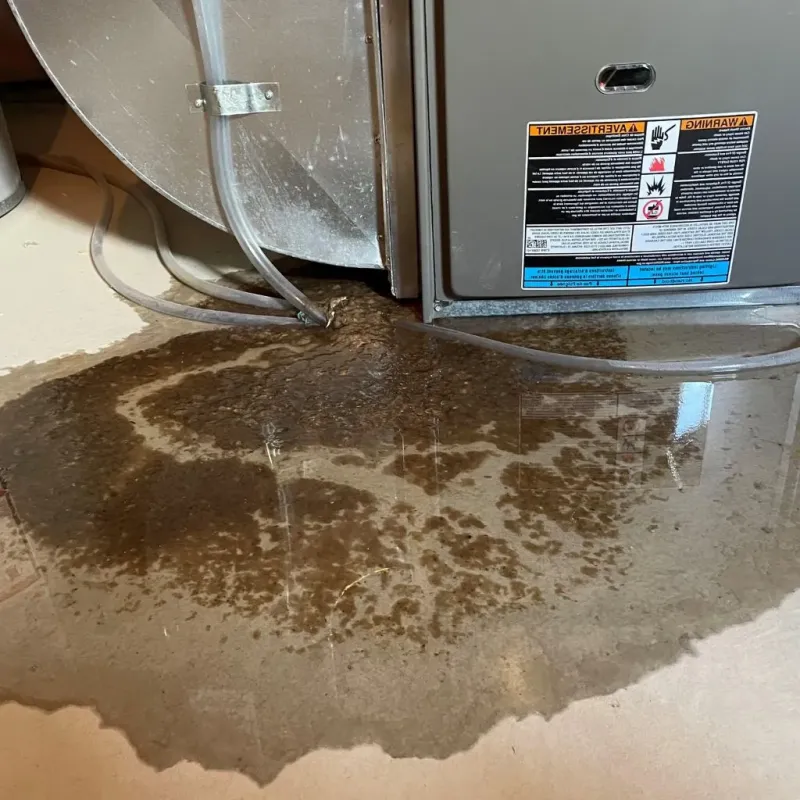 Pipe Burst and Leak Restoration in Edgefield County, SC