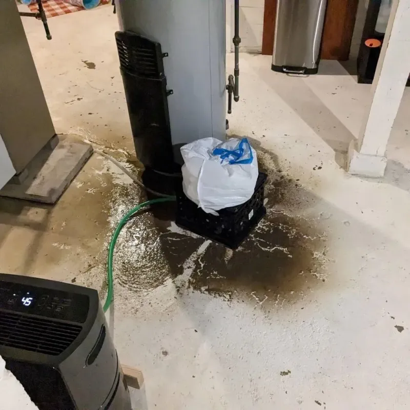 Sewage Backup Cleanup Service in Edgefield County, SC